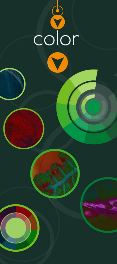 Color